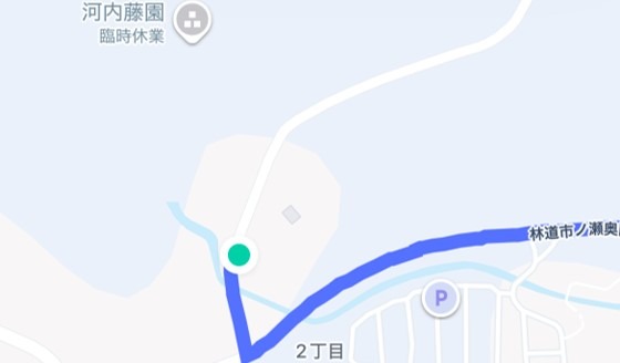 河内藤園
