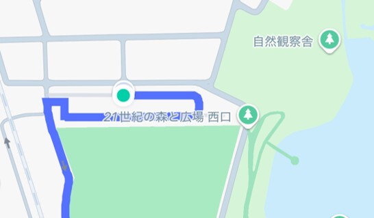 21世紀の森と広場