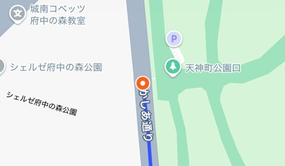 府中の森公園