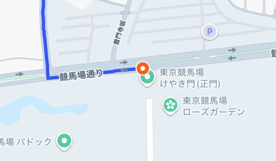 東京競馬場