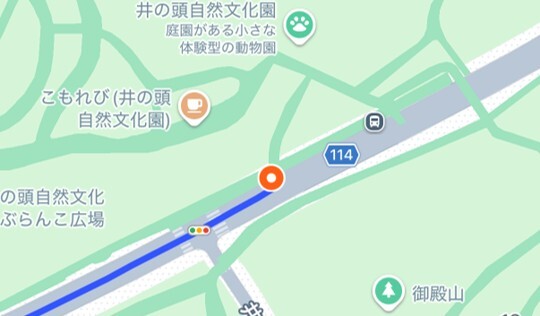 井の頭恩賜公園