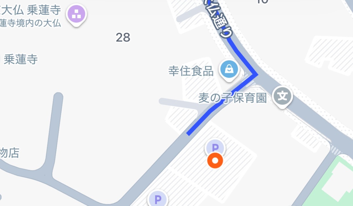 東京大仏-乗蓮寺