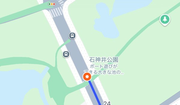 石神井公園